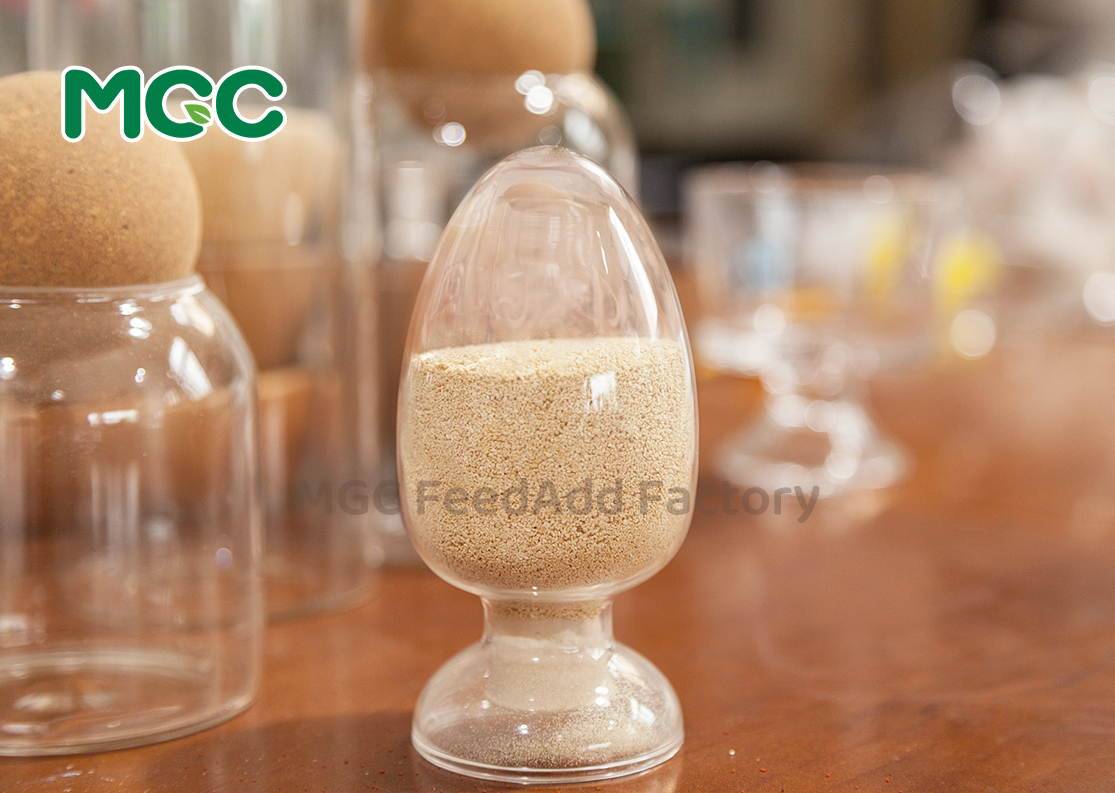 L-Lysine Hydrochloride